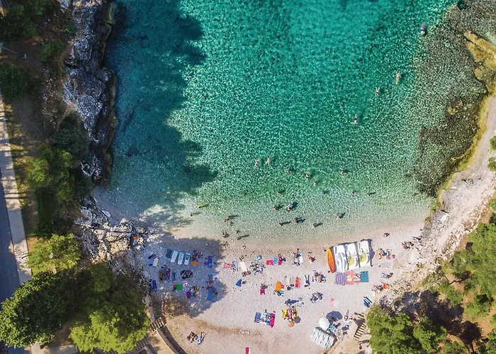 Cozy In With Wifi * 풀라